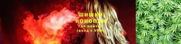 СК Липки