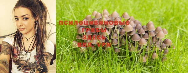 СК Липки