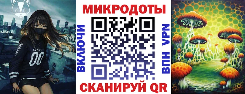 Псилоцибиновые грибы Psilocybe  Купить закладки  Лакинск 